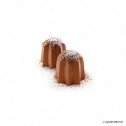 MOLDE FLEX SQ053  PANDORINO